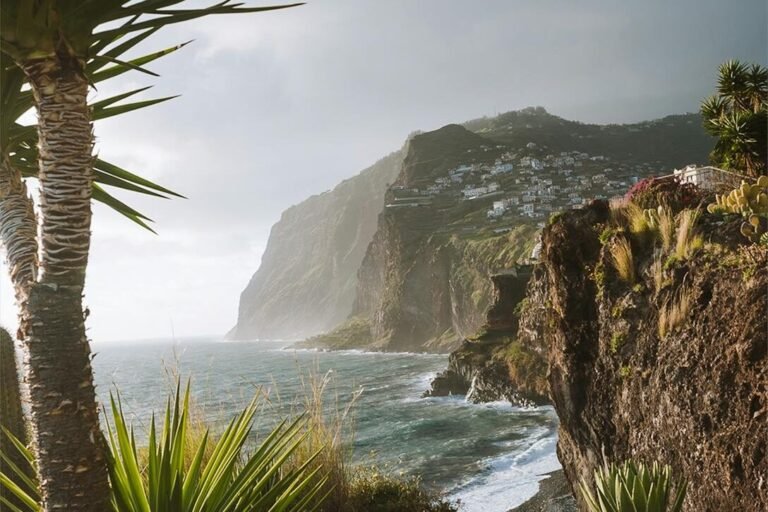 Explore the rugged and lush Madeira coastline featuring dramatic cliffs and thriving vegetation.