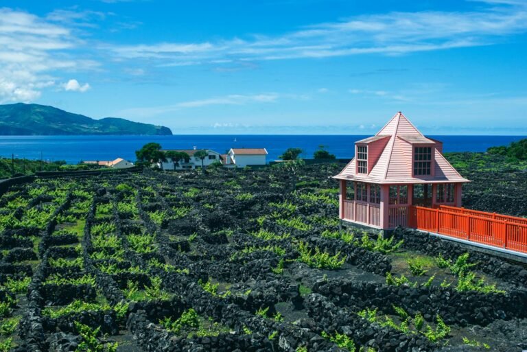 A scenic vineyard on Pico Island, Azores overlooking the Atlantic Ocean with a striking red building.