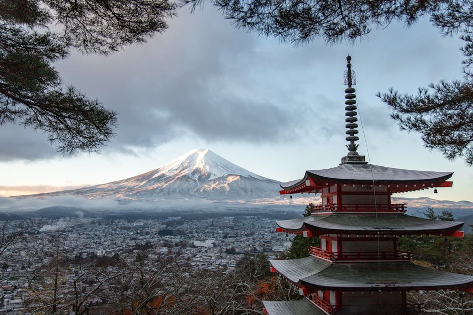 Sådan kommer du fra Tokyo til Mount Fuji: Guide til tog, bus og bil for danske rejsende
