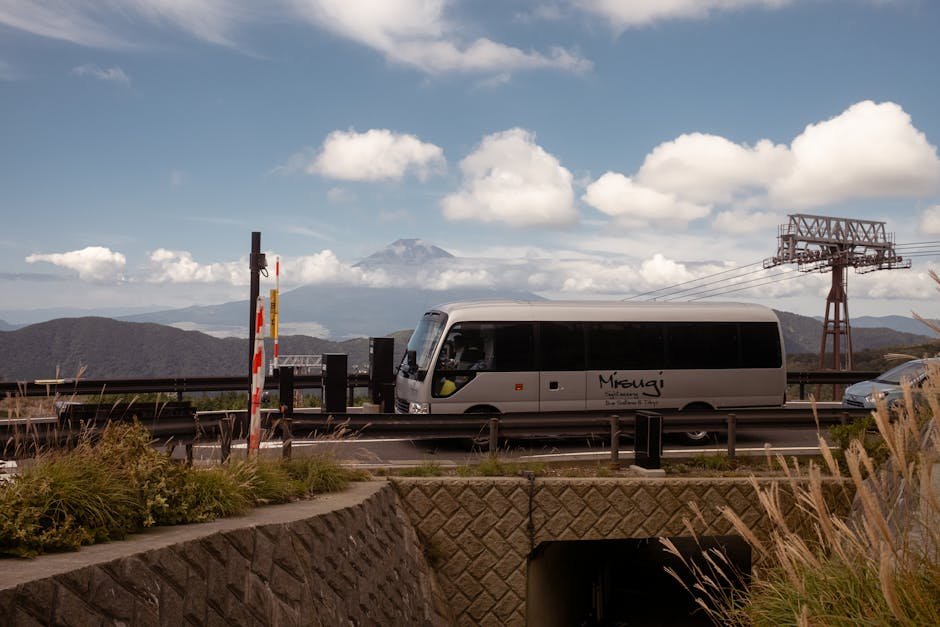 Dagstur til Mount Fuji med hotelafhentning i Tokyo: hvilke ture findes, og hvordan vælger du den rigtige?